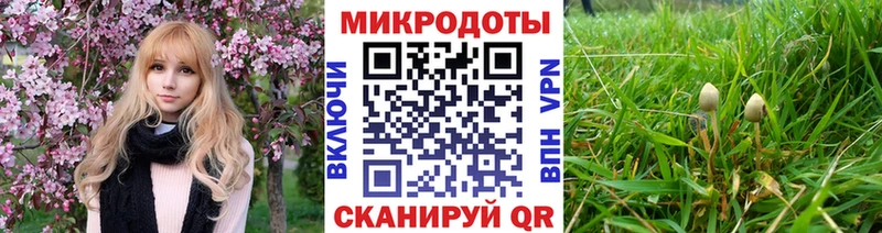 Купить  Свободный  Галлюциногенные грибы GOLDEN TEACHER 