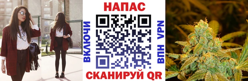 Купить закладки  Свободный  Бошки Шишки семена 